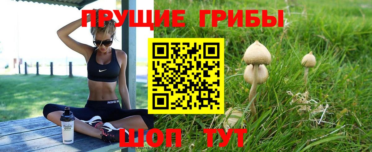 Псилоцибиновые грибы Magic Shrooms Черняховск