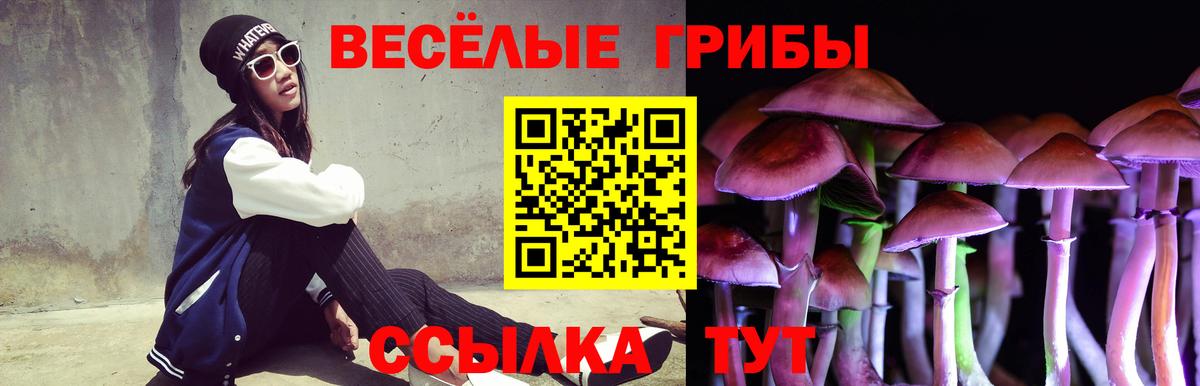 Черняховск  Галлюциногенные грибы ЛСД  Вход с VPN 